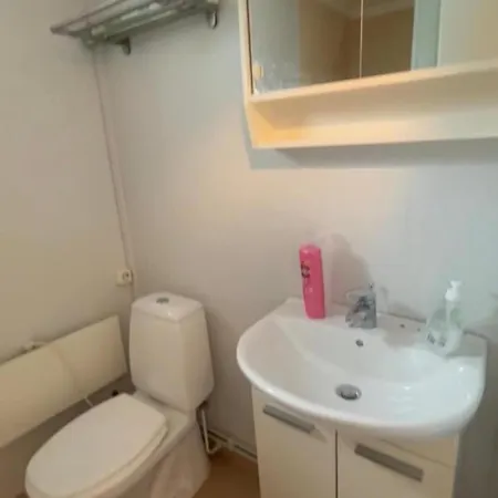 Studio Apartment Leilighet Oslo