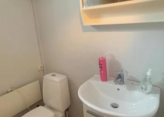 Studio Apartment 公寓 奥斯陆